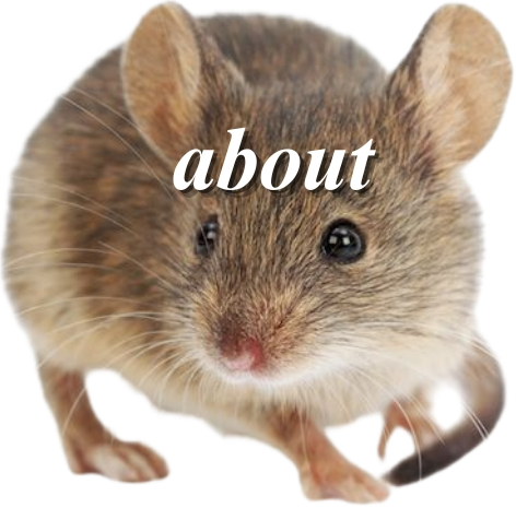 Link Image